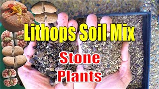 How to make LITHOPS Soil Mix  Growing Succulents with LizK [upl. by Akinhoj280]