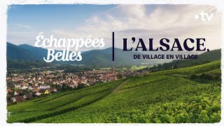 LAlsace de village en village  Échappées belles [upl. by Weitman351]