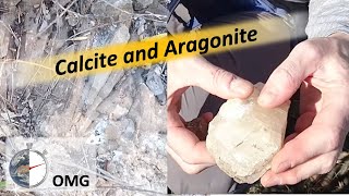 Calcite and Aragonite [upl. by Atinra945]