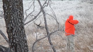 Saskatchewan Whitetail hunt [upl. by Airitac255]