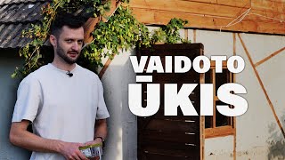 VAIDOTO ŪKIS  KALVĖS SIENOS  41 [upl. by Aleemaj]