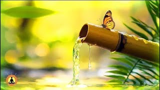 Relaxing Bamboo Water Fountain Zen Meditation Music Deep Sleeping Music Zen Calm Nature Sounds [upl. by Syman401]