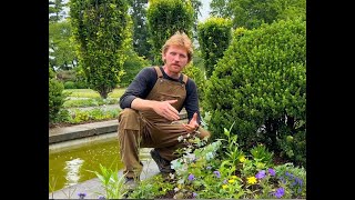 Untermyer Gardens Conservancy Summer Annuals With Drew Schuyler Introduced by Timothy Tilghman [upl. by Leynad]