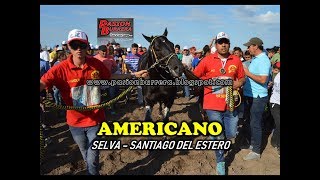 AMERICANO MEGA CLASICO EN SELVA [upl. by Wahkuna208]