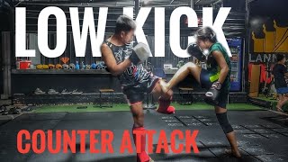 low kick counter attack [upl. by Irabaj]