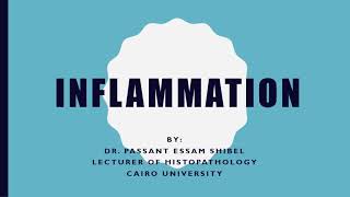 INFLAMMATION 3 [upl. by Alexandros606]