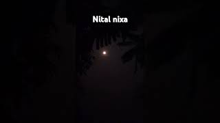 Nital nixa songAssamese status zubeen garg assamese [upl. by Llertnauq663]