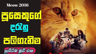 Meow 2016 Tamil Movie Review In Sinhala  පුසෙක්ට පුලුවන්ද 😱 [upl. by Humo785]