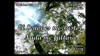 Del Salmo 16 El Señor es mi Pastor nada me faltará [upl. by Ellerud590]