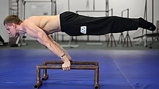 How To Planche  Beginner Tutorial [upl. by Lamberto424]