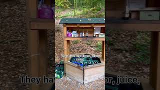 Drinks station at Forest 😱 germanvillagelifeshortscultureshockyoutubeshortskannadavlogs [upl. by Melany]