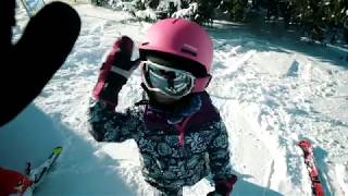 Grizzly Family Snowpark Jungholz [upl. by Blainey]