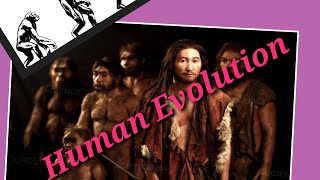 Human Evolution  मानव विकास  knowledge learning viral [upl. by Yajnas91]