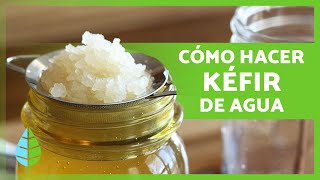 BENEFICIOS del KÉFIR de AGUA 🍹✅ Cómo hacer KÉFIR de AGUA y Cómo TOMARLO [upl. by Albric]