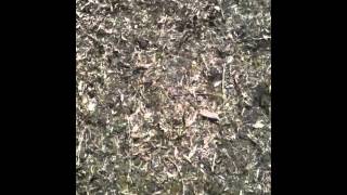 Stihl BR 600 Magnum Backpack Blower vs Horse Poop [upl. by Hanna]