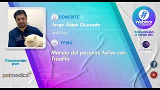 Manejo del paciente felino con Triaditis  MVZ Esp Jorge Alanis Quezada [upl. by Melly]