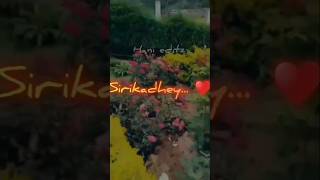 Sirikadhey song🔥❤💕 love tamil whatsappstatus anirudh lovesong [upl. by Queenie233]