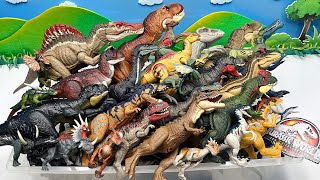 Dinosaur Full Box With Jurassic World tyrannosaurus Rex Triceratops Stegosaurus Indominus [upl. by Ahsinut]