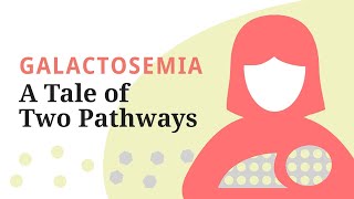 Galactosemia A Tale of Two Pathways—A brief overview of the galactose metabolic pathway [upl. by Millan878]