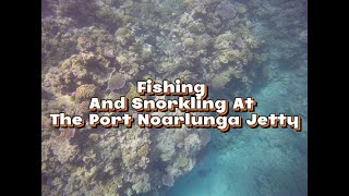 Snorkelling at Port Noarlunga Jetty [upl. by Siuqaj]