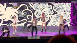 2NE1  I Am The Best  I Love You  USA concert [upl. by Htenay293]