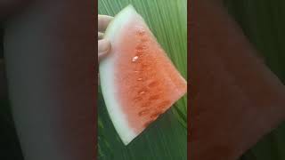 frutamedicinal La sandía 🍉 aporta glóbulos rojos en sangre protege el corazón ❤️ [upl. by Dierdre971]