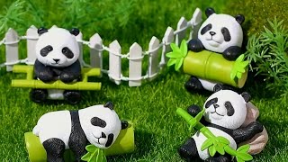 🎀🐼LETS PLAY PANDA COIN BANK ASMRGAME CUTE SHORTLIVE SHORTFEED [upl. by Sliwa295]