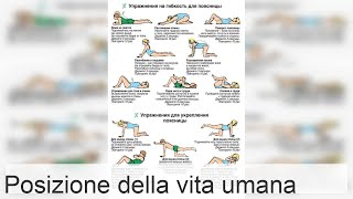 Reparto lombare della colonna vertebrale anatomia posizione struttura delle vertebre L1L5 [upl. by Eade]