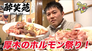 【酔笑苑】超新鮮！ホルモン焼肉を味わう！【厚木シロコロ】 [upl. by Eeslehc]