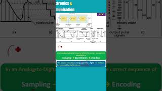 Sampler Quantizer Encoder in ADC MCQ ECE [upl. by Hsaka]