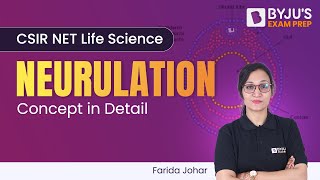 BYJUS CSIR NET  Neurulation Process in Detail  Life Science  CSIR NET 2023 [upl. by Ardussi144]