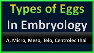 Egg Types in Embryology  A Micro Meso Telo Centrolecithal Eggs [upl. by Drallim]