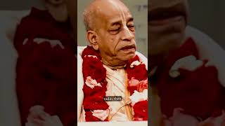 Chanting Means Prabhupada lecture shorts [upl. by Millwater988]