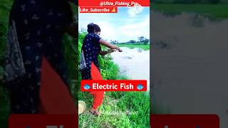 Fishing 🐠 Big Fish Are Being Caught In Village Pond With Hook And Small Fish Baitfishingmethods [upl. by Algernon]