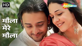 Maula Mere Maula HD Video Song  Anwar 2007  Siddharth KoiralaNauheed Cyrusi  Romantic Song [upl. by Jillana]