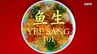 Yee Sang 101 Things To Say During Lou Sang  SAYS In A Nutshell [upl. by Ketchum]