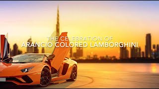 Lamborghini Arancio Color Video [upl. by Aicirtac226]