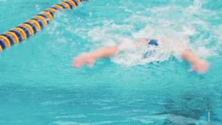 Highlights UCLA Swimming and Diving vs Cal [upl. by Sansen]