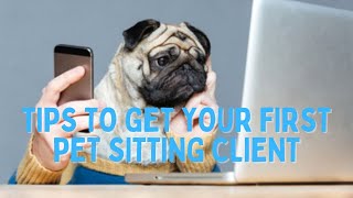 Pet sitting How to get your first client [upl. by Htebasil480]