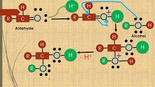 Hemiacetals formation Animation Alcohol  Aldehyde [upl. by Tadio644]