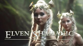 Elven Shamanic  Mystical Woods  Shamanic Drumming  Ethereal Tribal Sounds [upl. by Louisette]