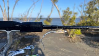 Lure Fishing at Nudgee Beach  difficult conditions but still caught fish [upl. by Doownelg]