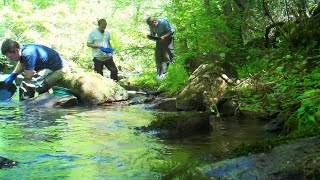 Dahlonega GA Road Trip  gold panning on the Chestatee River Georgia [upl. by Nagar]