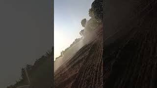 punjabisong farming 💥 [upl. by Lamberto102]