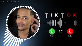 New Arabic Remix 🔥 Tiktok Attitude Background Music [upl. by Nitsreik]