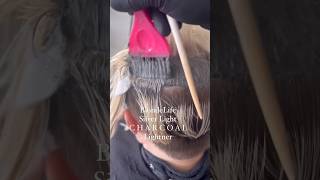 How to shine with Joico Blonde Life SilverLight 🩶✨🤩 Joico [upl. by Daffi]