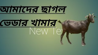 ছালগ  ভেডার প্রজেক্ট [upl. by Aikemehs877]