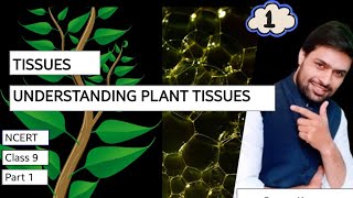 TISSUES PART 1  plant tissues  meristematic tissue  simple permanent tissue  SlicingScience [upl. by Aieken]