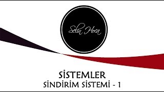 ARŞİV 12 Sindirim Sistemi  Sindirim Sistemi Organları  11 Sınıf Biyoloji AYT 12 [upl. by Hoffarth]