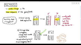 69 Gene Mutation Cambridge AS amp A Level Biology 9700 [upl. by Inoek406]